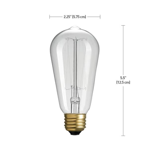 Globe Electric 40-Watt Vintage Edison S60 Squirrel Cage Incandescent Filament Light Bulb (12-Pack)