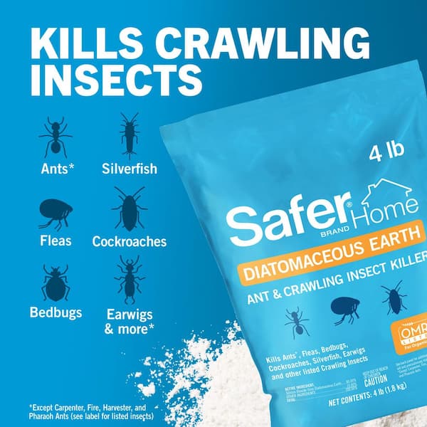 Safer Brand - 4 lbs. Diatomaceous Earth - Bed Bug, Flea, Ant, Crawling Insect Killer for Indoor and Outdoor