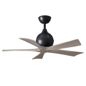 Irene-5 42 in. 6 Fan Speeds Ceiling Fan in Black with Remote and Wall Control Included