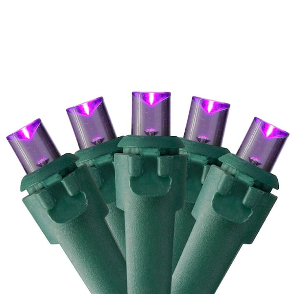 Set of 50 Purple LED Wide Angle Christmas Lights - Green Wire