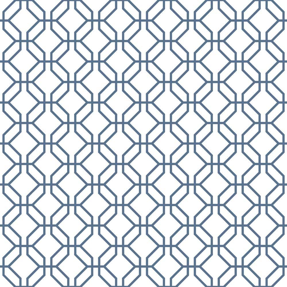 Secret Garden White and Navy Blue Octagonal Trellis Non-Woven Paper Non-Pas