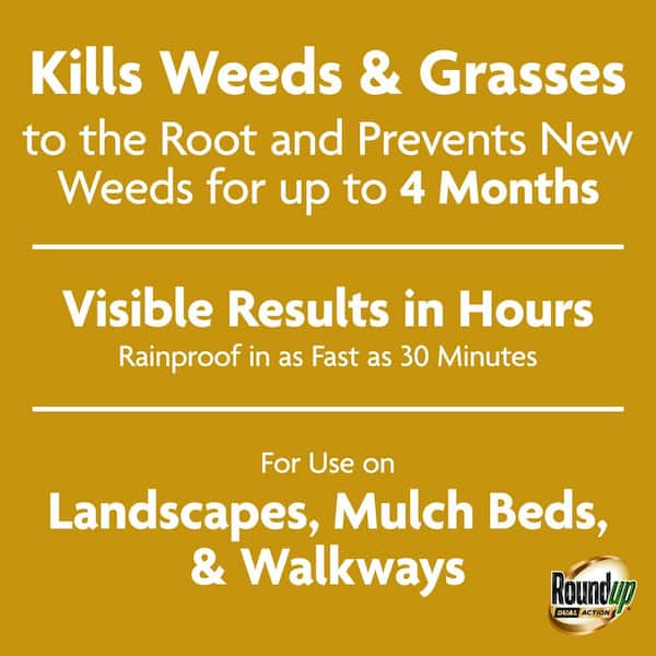 1.25 Gal. Dual Action Weed and Grass Killer Plus 4-Month Preventer Refill