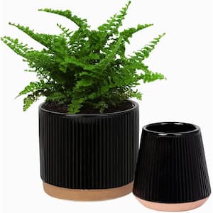 Modern 6 in. L x 6 in. W x 6 in. H Black Vertical Stripes Ceramic Round Indoor Planter 3 (-Pack)