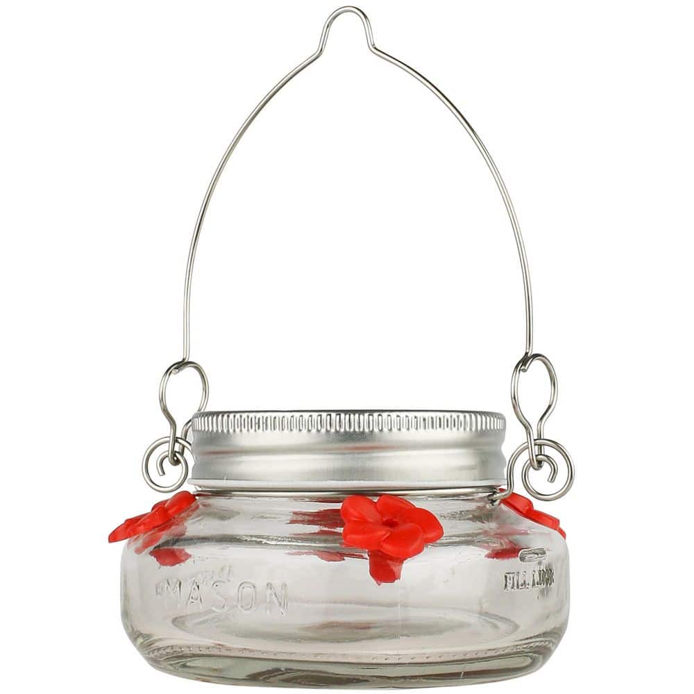 Mason Jar Glass Top-Fill Dish Hummingbird Feeder 6 oz price history on PriceWatchPro