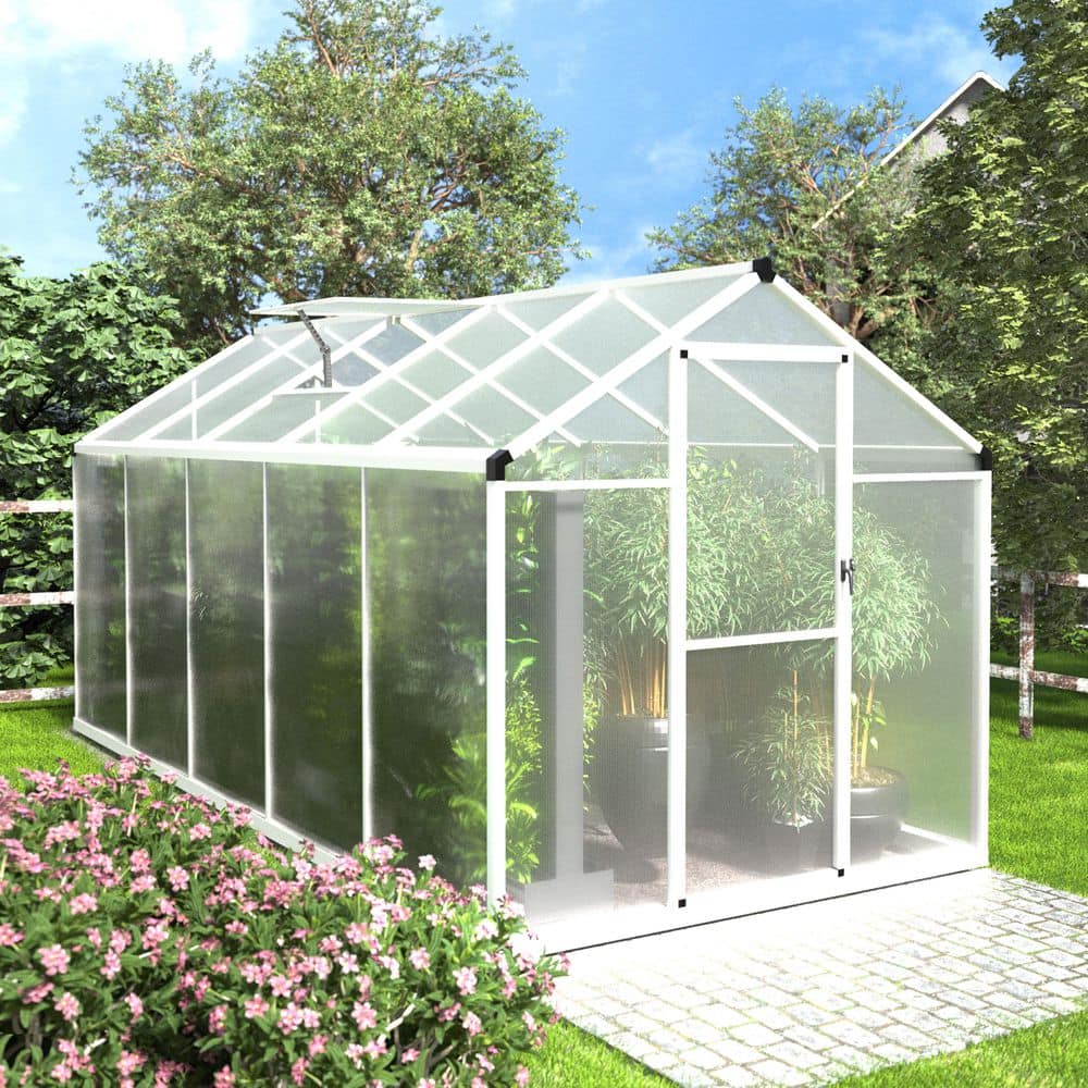 プレーヤー GREENHOUSE 1984185?$256$