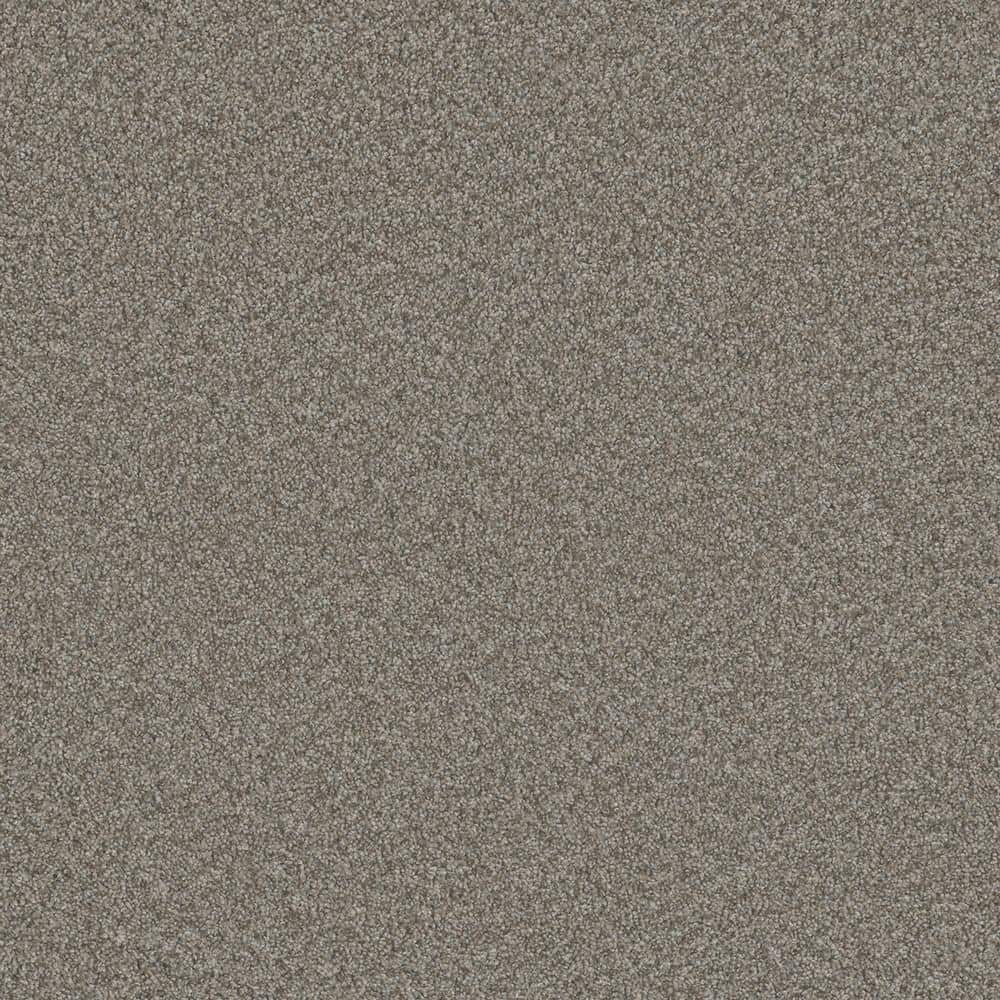 8 in. x 8 in. Texture Carpet Sample - Trendy Threads Plus III -Color Decatur price history on PriceWatchPro