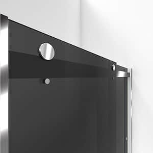 Essence 56 in. to 60 in. W x 76 in. H Sliding Frameless Shower Door in Chrome with Tinted Glass