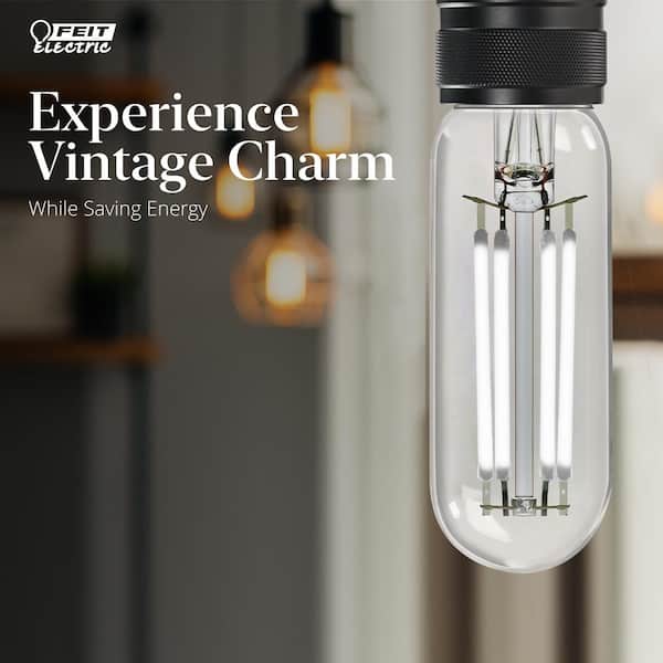 40-Watt Equivalent T6 Dimmable Straight Filament Clear Glass E12 Candelabra Vintage LED Light Bulb, Daylight (4-Pack)
