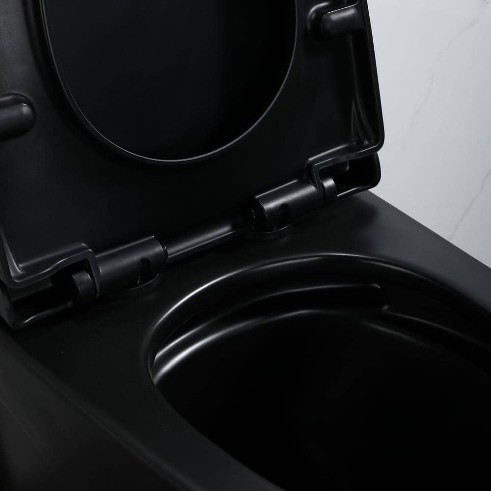 Matte Black Ceramic Elongated One-Piece Dual Flush Toilet