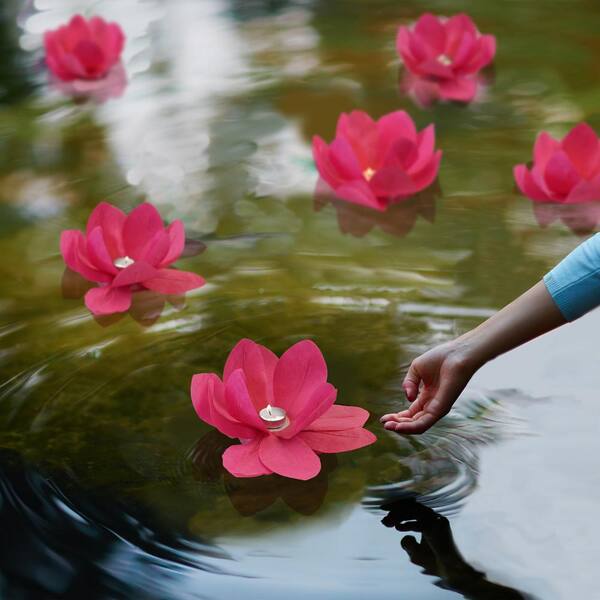 lotus water lanterns