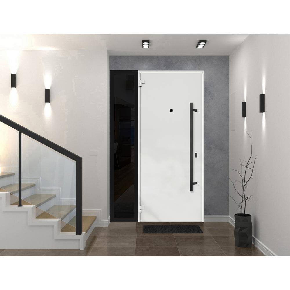Modern Black Metal Exterior Prehung Door with Sidelites