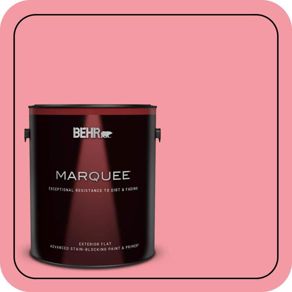 1 gal. #130B-4 Primrose Garden Flat Exterior Paint & Primer price history on PriceWatchPro