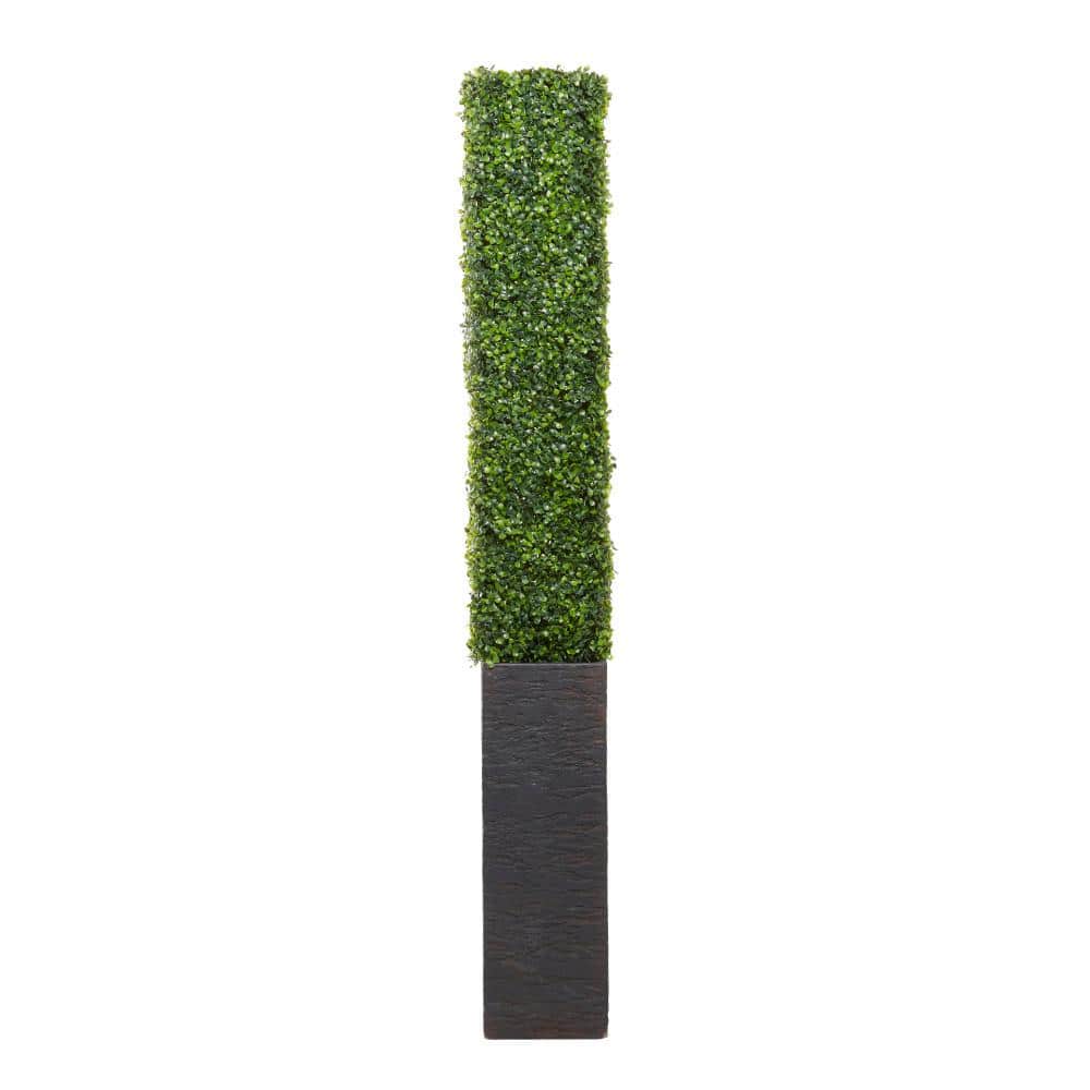 Evergreen Elegance Plastic Boxwood Topiary in Black Cement Planter, 66" Tall
