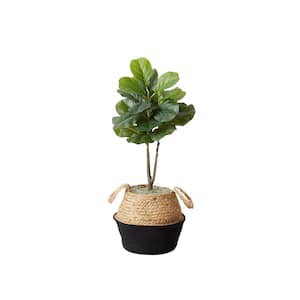 3 ft. Artificial Fiddle Leaf Fig Tree with Handmade Cotton and Jute Woven Basket DIY Kit