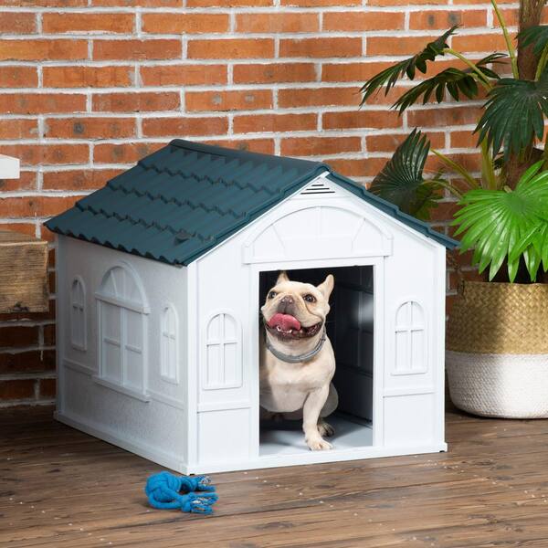 Plastic dog house outlet with door