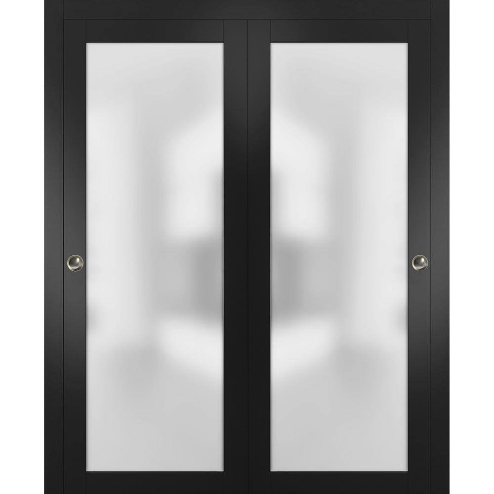 Black Sliding Closet Doors with Frosted Glass Panels and Hardware