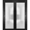 https://images.thdstatic.com/productImages/2bfec243-833e-42d7-9686-ed378d16c7ed/svn/black-sartodoors-sliding-doors-planum2102dbd-blk-6496-64_100.jpg