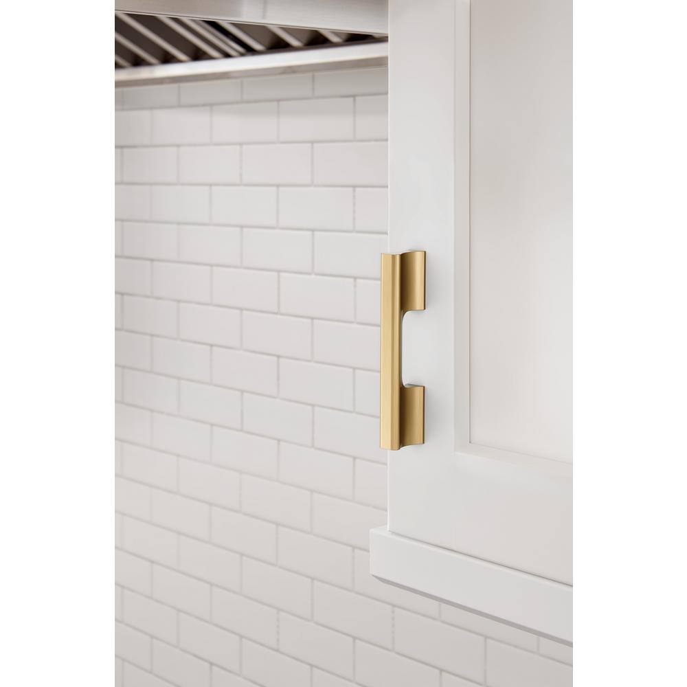 Champagne Bronze Aluminum Cabinet Handle Pull with Mounting Hardware