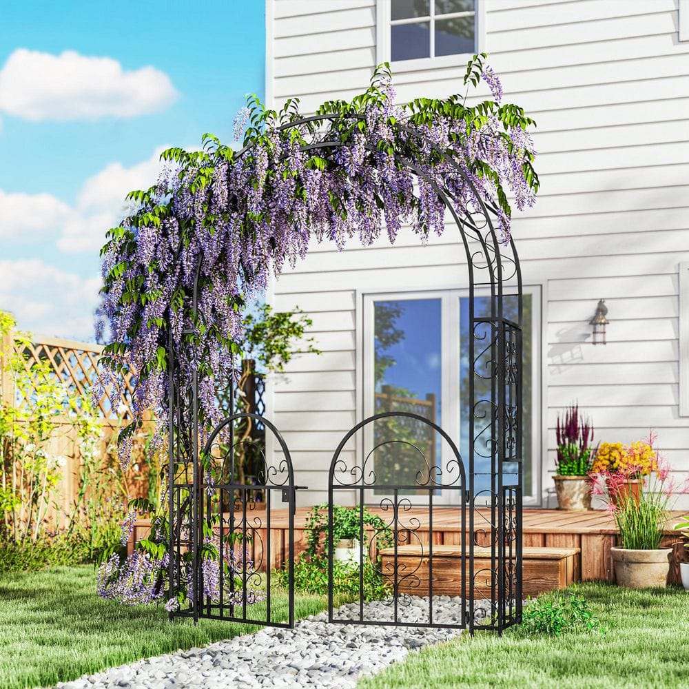 Black Metal Garden Arch with Gate for Climbing Plants