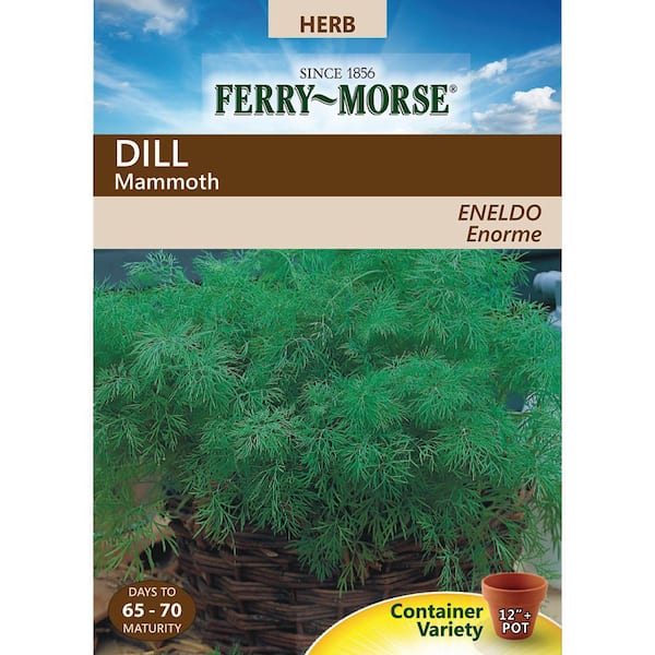 Ferry-Morse Dill Mammoth Seed