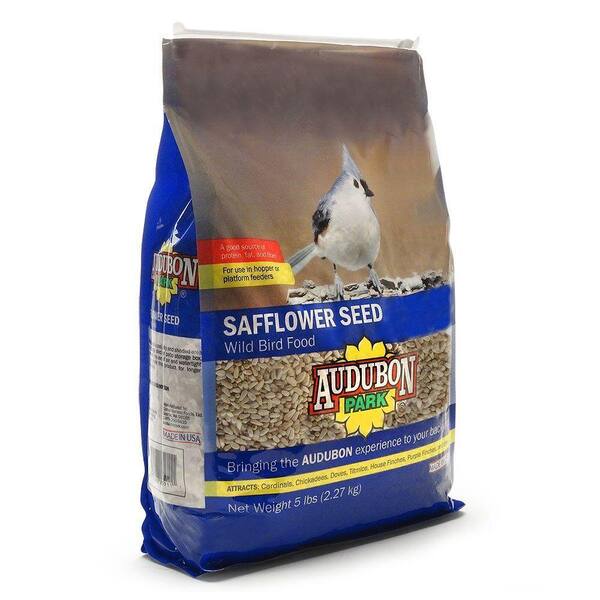 safflower bird seed home depot