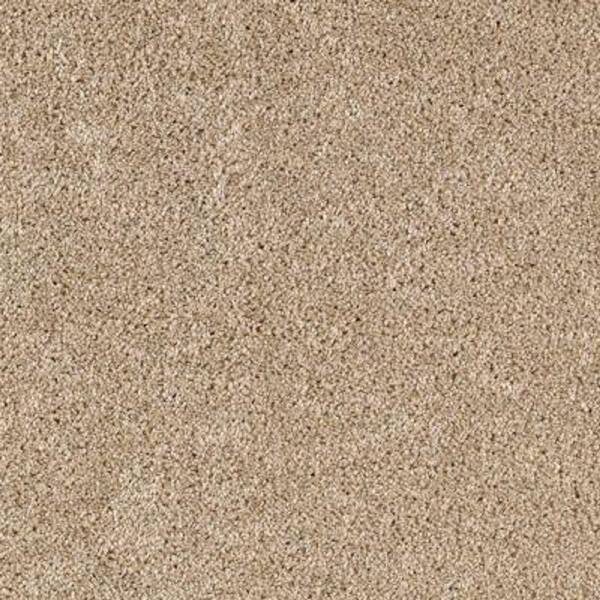 Lifeproof 8 in. x 8 in. Texture Carpet Sample - Gorrono Ranch I -Color Manuscript