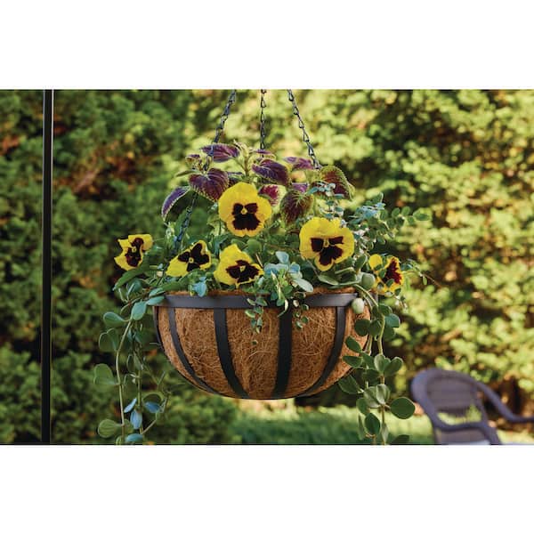 12 in. HydroSave Coconut Premium Liner (12 in. D x 5.5 in. H) for Basket Planter