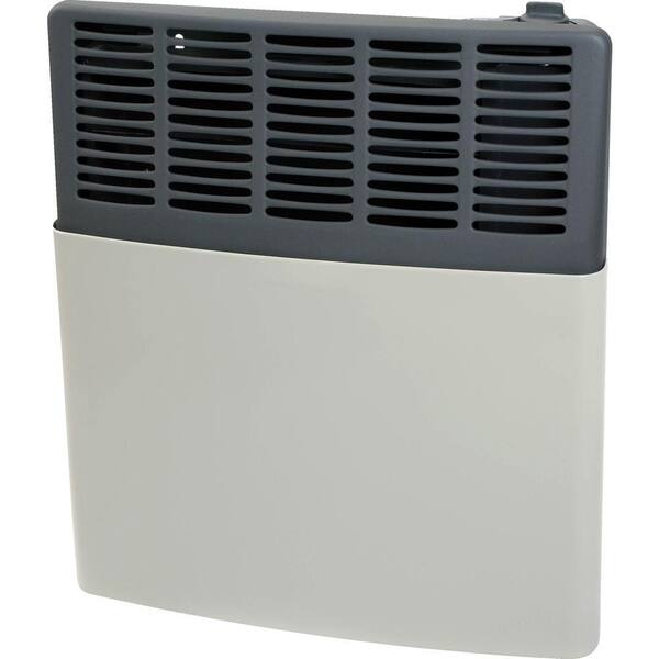 Ashley Hearth Products 11,000 BTU Natural Gas Direct Vent Heater