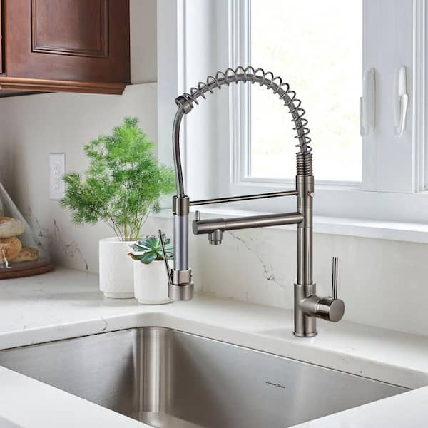 Single Handle Pull Down Sprayer Kitchen Faucet with 360° Swivel 2-Spouts in Brushed Nickel