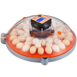 48-Egg Incubator Incubators 1.69 ft. x 1.725 ft. for Hatching Eggs 360° Automatic Egg Turner Greenhouse