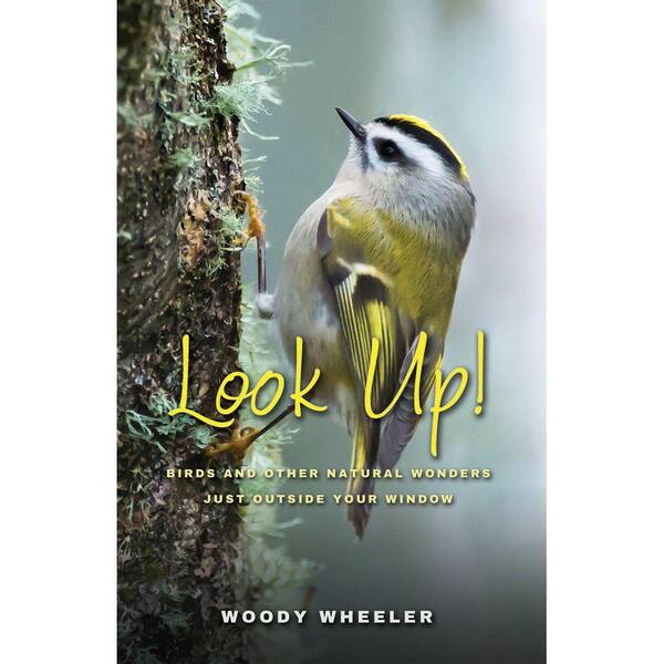 Unbranded Look Up!: Birds and Other Natural Wonders Just Outside Your Window