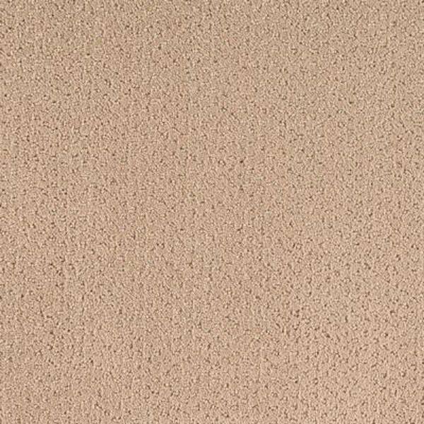 Lifeproof Carpet Sample - Spirewell - Color Bamboo Pattern 8 in. x 8 in.