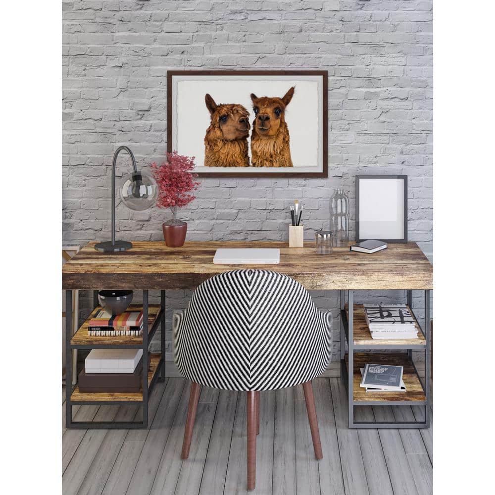 12 in. H x 18 in. W Brown Llama Pair by Marmont Hill Framed Printed Wa