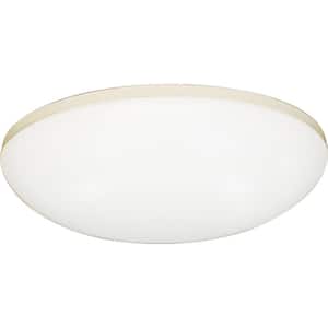 1-Light Small LED Indoor/Outdoor White Bath/Vanity Ceiling Flush Mount/Wall Mount Sconce with Oval Acrylic Shade