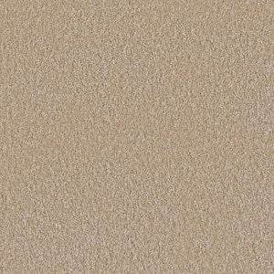 Blissful II - Sunny Beige - 60 oz. SD Polyester Texture Installed Carpet