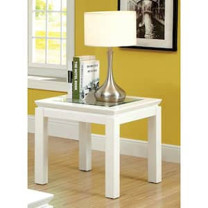 Abbotsburg 22 in. White Square Glass End Table