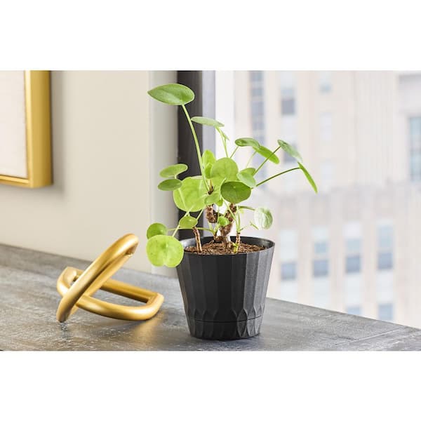 plastic planting trays Botanicare 4x8 ID Grow Tray — 7