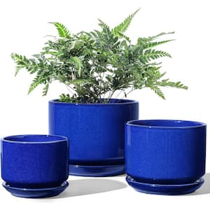 Modern 6.8 in. L x 6.8 in. W x 5.3 in. H Sapphire Blue Ceramic Round Indoor Planter (3-Pack)