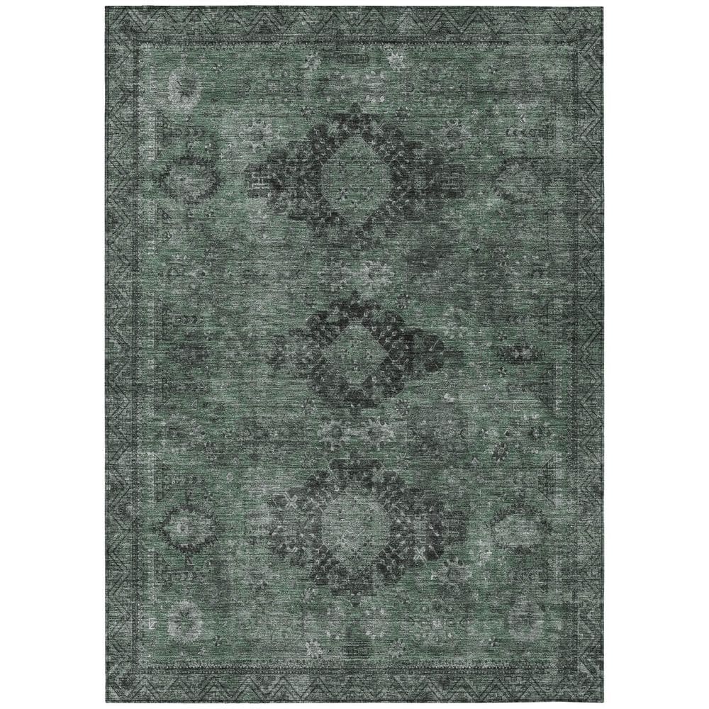 Chantille Machine Washable Indoor/Outdoor Abstract ACN2808 Mint 8 ft. x 10 ft. Area Rug price history on PriceWatchPro