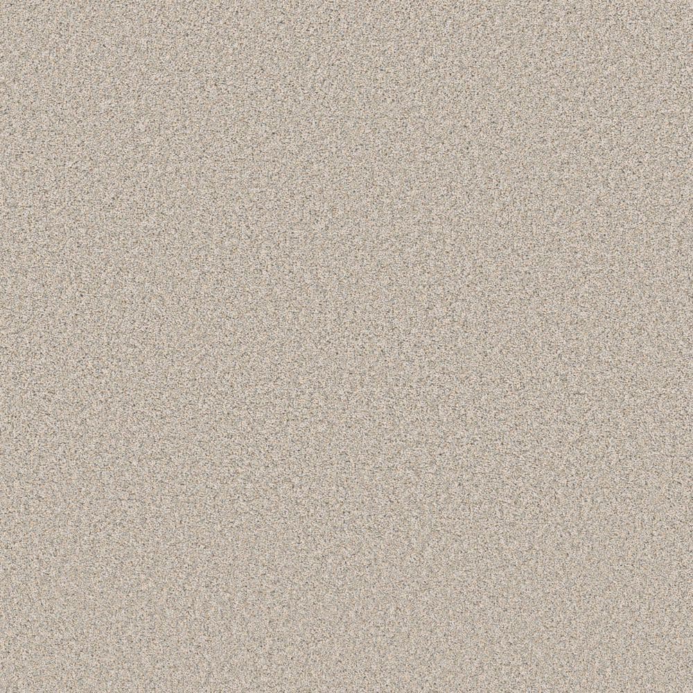 8 in. x 8 in. Texture Carpet Sample - Cuddle Cakes III - Color Fresco price history on PriceWatchPro