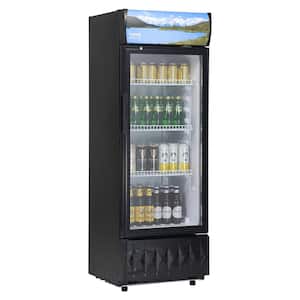 Commercial Refrigerator 6.8 cu. ft. Beverage Refrigerator Cooler Glass Door Display Refrigerator Upright Fridge