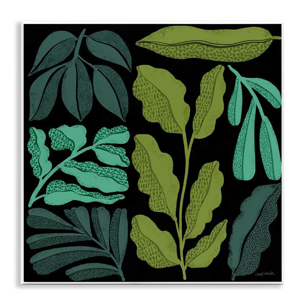 Plant Sprig Collage by Cheryl Warrick Unframed Nature Graphic Art Print 12 in. x 12 in. price history on PriceWatchPro