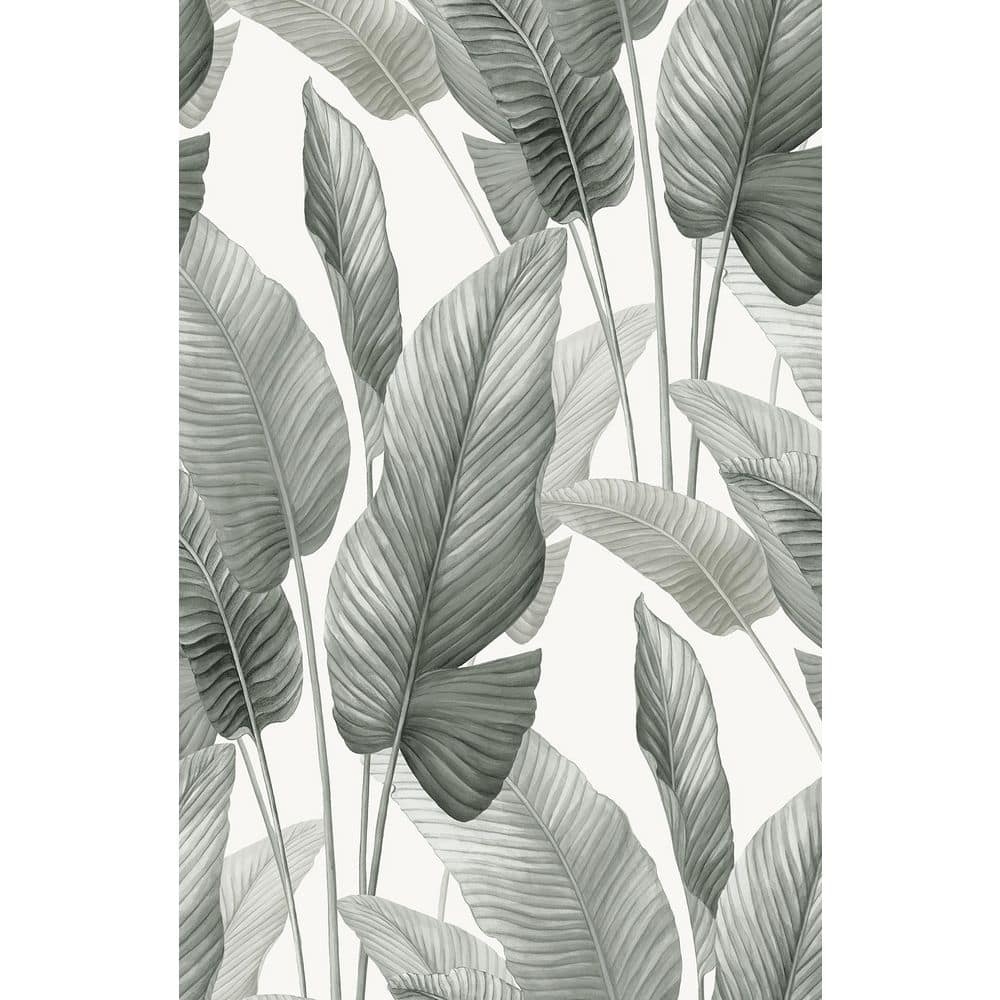 60.75 sq. ft. Pebble Mantra Non-Woven Paper Unpasted Wallpaper Bolt price history on PriceWatchPro
