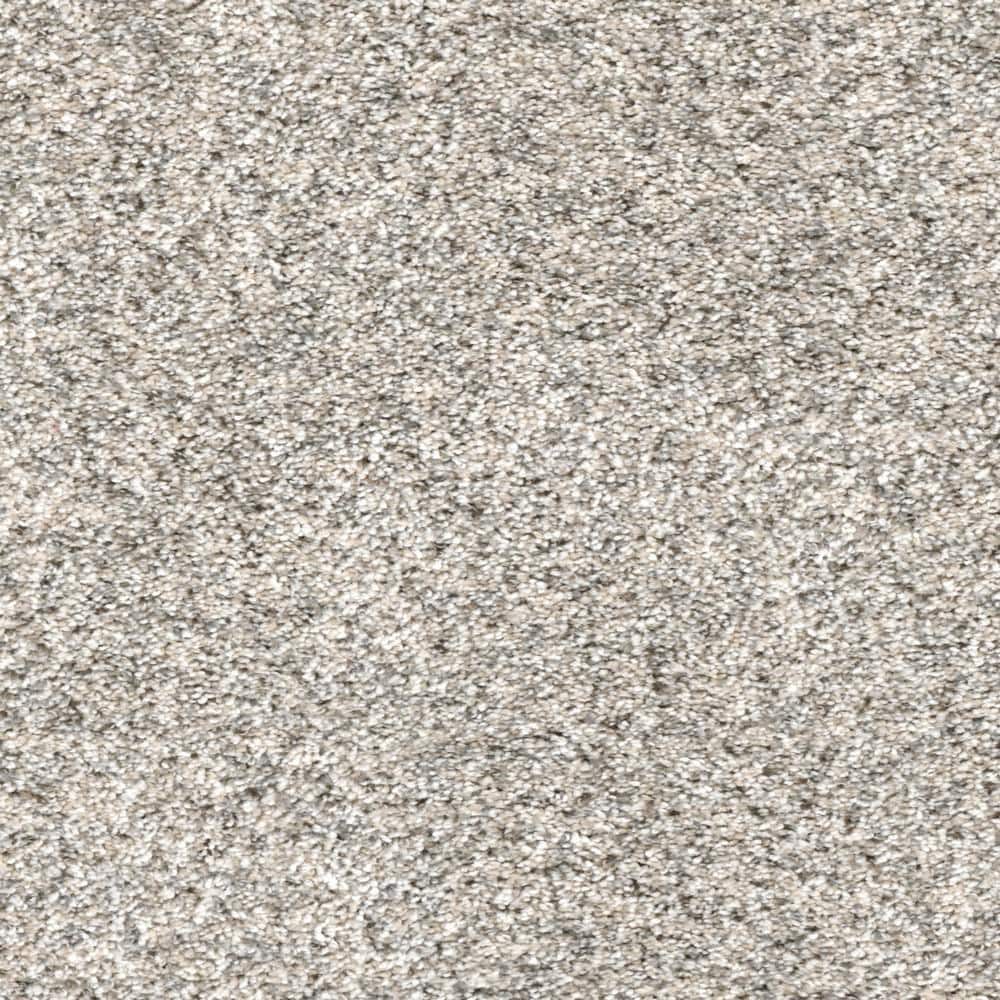 8 in. x  8 in. Texture Carpet Sample - Whispers -Color Key price history on PriceWatchPro