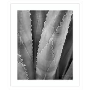 "Abstract Agave I" by Elizabeth Urquhart 1 Piece Wood Framed Black and White Nature Photography Wall Art 25-in. x 21-in.