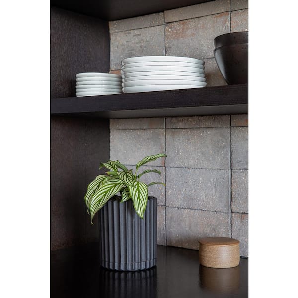 Demi 6 in. Round Black Plastic Pot Planter (2-Pack)