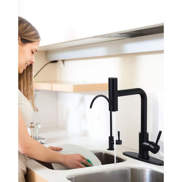Matte Black 15.7 in. Single Handle Pull Down Sprayer Kitchen Faucet with 360° Swivel Spout and Drinking Water Faucet