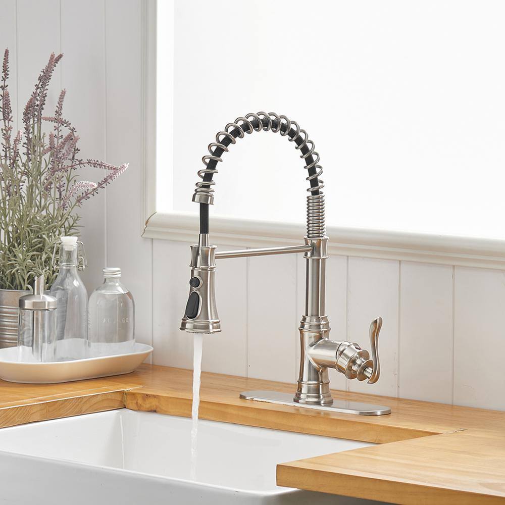 Brushed Nickel Single-Handle Pull-Down Sprayer Kitchen Faucet