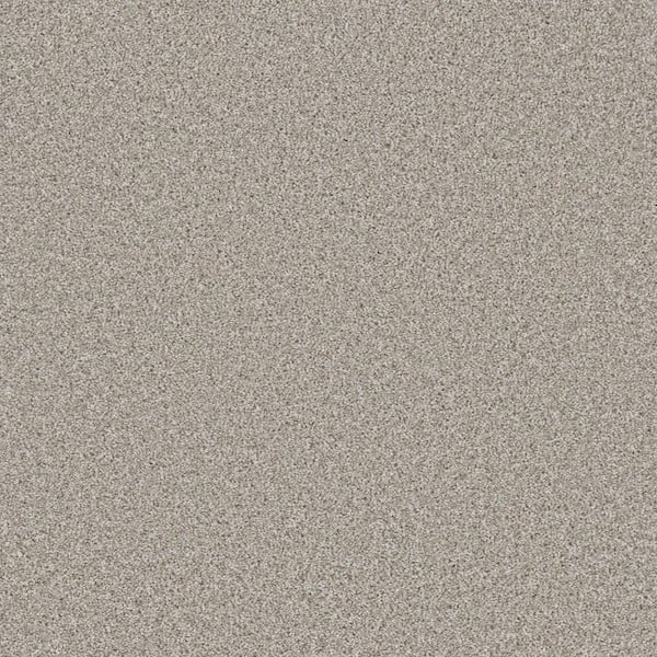 Trestle II-Path Beige-60 oz. SD Polyester Texture Installed Carpet