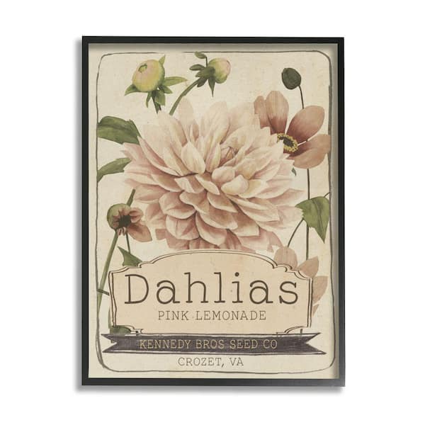 Stupell Industries Pink Lemonade Dahlias Vintage Floral Seed Packet By Studio W Framed Print Nature Texturized Art 11 in. x 14 in.